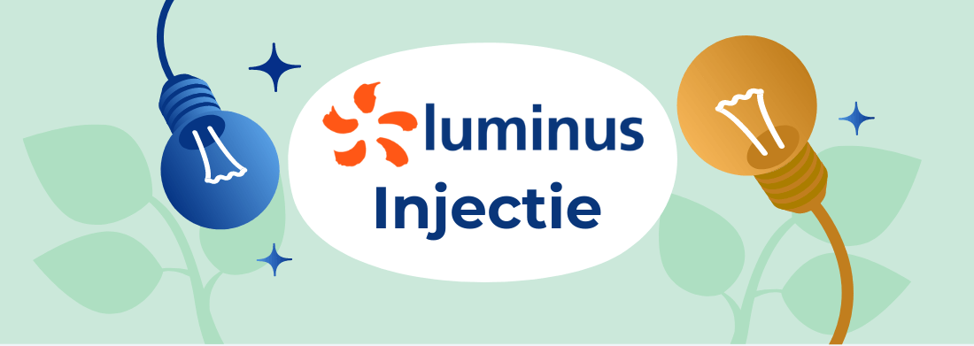 Luminus injectietarief