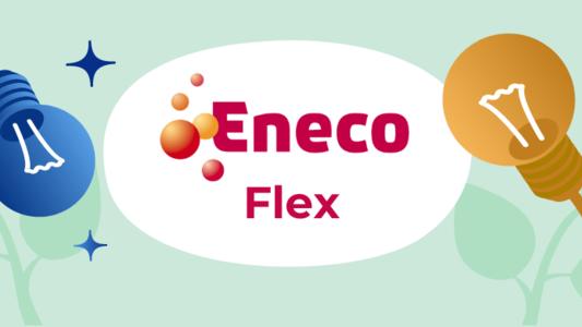 Eneco Flex